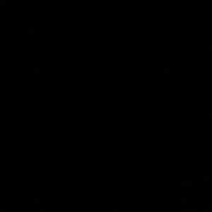 Meet your Posher, Aliou